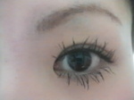 2009030706070000.jpg